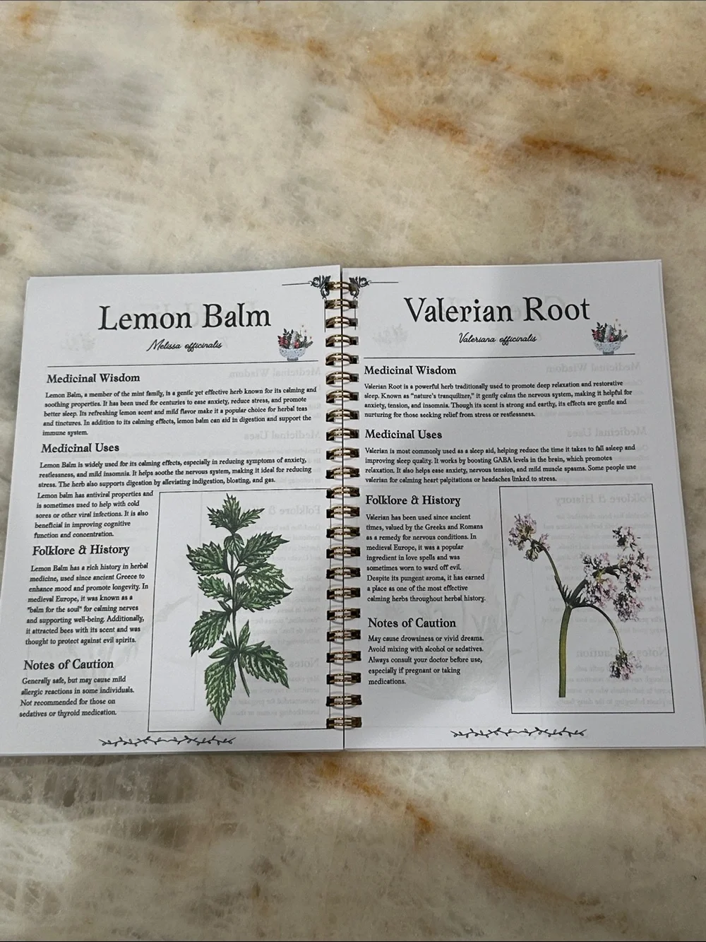 The Herbal Remedies Encyclopedia — Herbal Medicinal Guide (Black & Gold)